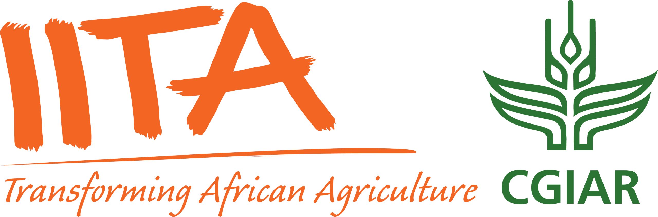 IITA Logo